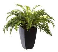 Atmosphera Créateur d'intérieur - Plante Artificielle en Pot "Fougère" 55cm Vert Vert G