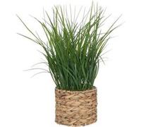 Atmosphera - Plante Artificielle en Pot en Jacinthe d’Eau H70cm