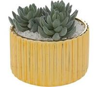 Atmosphera Créateur d'intérieur - Plante Artificielle en Pot "Le Collectionneur" 14cm Or G