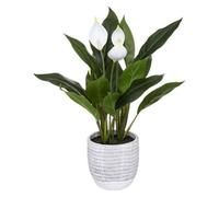 Atmosphera Créateur d'intérieur - Plante Artificielle Lys de la Paix 54cm Vert & Blanc