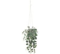 Atmosphera Créateur d'intérieur - Plante Suspendue en Pot "Lour" 80cm Blanc & Vert G