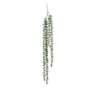 Atmosphera Créateur d'intérieur - Plante Tombante Déco "Séneçon" 37cm Vert