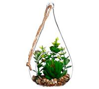 ATMOSPHERA CREATEUR D'INTERIEUR Plante + Verre Drop H19.5