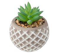 ATMOSPHERA CREATEUR D'INTERIEUR Pot de Ciment Succulent