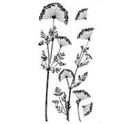 Atmosphera Créateur d'intérieur - Sticker Plat Déco "Mind" 80x170cm Noir & Blanc G