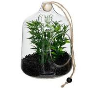 Atmosphera – Terrarium à suspendre Naly 15 cm Vert