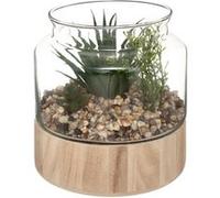 Créateur d'intérieur - Terrarium en Verre & Bois "Brito" 17cm Transparent