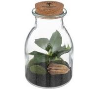 Atmosphera Créateur d'intérieur - Terrarium en Verre Bota 19cm Transparent