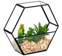 Terrarium Hexagonal en Verre "Pia" 20cm Noir
