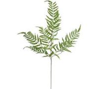 Atmosphera - Tige fougère Artificielle James Vert h90cm
