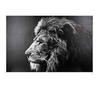 Toile imprimée Lion 78X118 Noir
