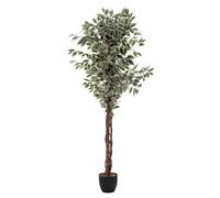 Atmosphera - Ficus Artificiel Benjamina Vert foncé H180cm