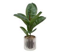 Atmosphera - Ficus Pot crmq AR Sky h54
