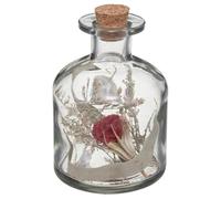 Atmosphera - Fleurs séchées en Bouteille H11 cm - Rouge
