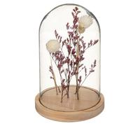 Atmosphera - Fleurs séchées sous Cloche Gypsy H17 cm - Prune