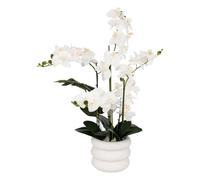 Orchidée artificielle en pot ""Mick"" pot en céramique blanc H80cm - Atmosphera createur d'interieur