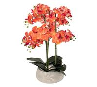 Atmosphera - Orchidée Artificielle en Pot Sanae Pot en Ciment Orange h65cm