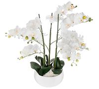 orchidée pot céramique blanc 65cm Blanc G