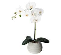 Atmosphera - Orchidée Artificielle - Pot en Ciment - H53 cm