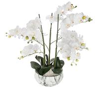 Atmosphera - Orchidée Artificielle - Pot marbré H65 cm