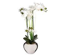 Atmosphera Créateur d'intérieur - Composition Florale & Vase "Orchidée" 53cm Argent G