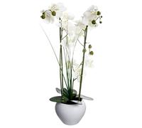 Atmosphera Créateur d'intérieur - Composition Florale & Vase "Orchidée" 53cm Blanc Blanc G