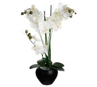 Orchidée et vase en céramique - 50 x 28 x 53 cm - Noir