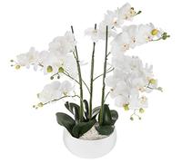 Atmosphera - Orchidée artificielle - Pot céramique blanc - H65 cm