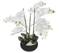 Atmosphera Orchidée artificielle en pot H 65 cm Blanc