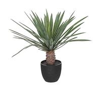 Atmosphera - Palmier Artificiel Rivi - Pot en Ciment - H52 cm
