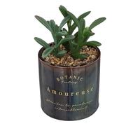Atmosphera Créateur d'intérieur - Plante Artificielle en Pot Déco Bota 14cm Noir noir G