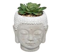 Atmosphera - Plante Artificielle Bouddha - Pot en Ciment - H13-5 cm - Modèle 3