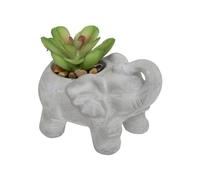 Atmosphera - Plante Artificielle Éléphant - Pot en Ciment - H10 cm - Modèle 2