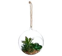 Atmosphera - Plante Artificielle en Boule - Pot en Verre - H17 cm - Modèle 2