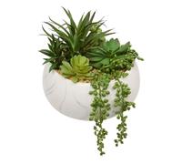 Atmosphera - Plante Artificielle en Pot jesy 21x18cm