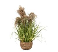 Atmosphera Créateur d'intérieur - Plante Herbe Artificielle en Pot "Maxime" 80cm Vert Vert G