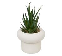 Atmosphera - Plante Artificielle en Pot Stefi 9x9cm - Modéle d