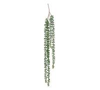 Créateur d'intérieur - Plante Tombante Déco "Séneçon" 37cm Vert