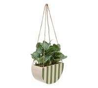 Atmosphera - Plante artificiellle Suspendue Cheri 21x10cm - Vert