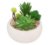 Atmosphera - Plante grasse Artificielle - Pot en Ciment - H10 cm - Modèle 2