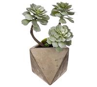 Créateur d'intérieur - Plante Grasse Artificielle "Geom" 30cm Naturel