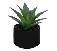 Atmosphera - Plante grasse en pot H13