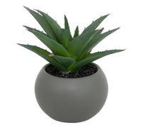 Atmosphera - Plante grasse en Pot H13 - Modèle e/Gris
