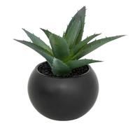 Atmosphera - Plante grasse en Pot H13 - Modèle e/Noir