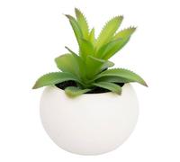 Atmosphera - Plante grasse en Pot H13 - Modèle f/Blanc