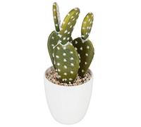 Atmosphera - Plante succulente et Cactus H18 - Modèle 1