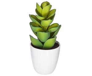 Atmosphera - Plante succulente et Cactus H18 - Modèle 5