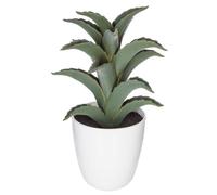 Atmosphera - Plante succulente et Cactus H18 - Modèle 6