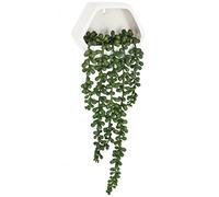 Atmosphera - Plante tombante Murale contemporaine