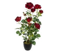 Atmosphera - Rosier Artificiel - Pot en Ciment - H74 cm - Rouge